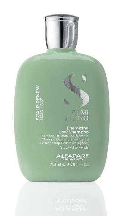 Alfaparf Scalp Renew Hair Loss Shampoo